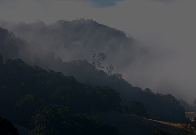 Ghost_Pines590c596e52758