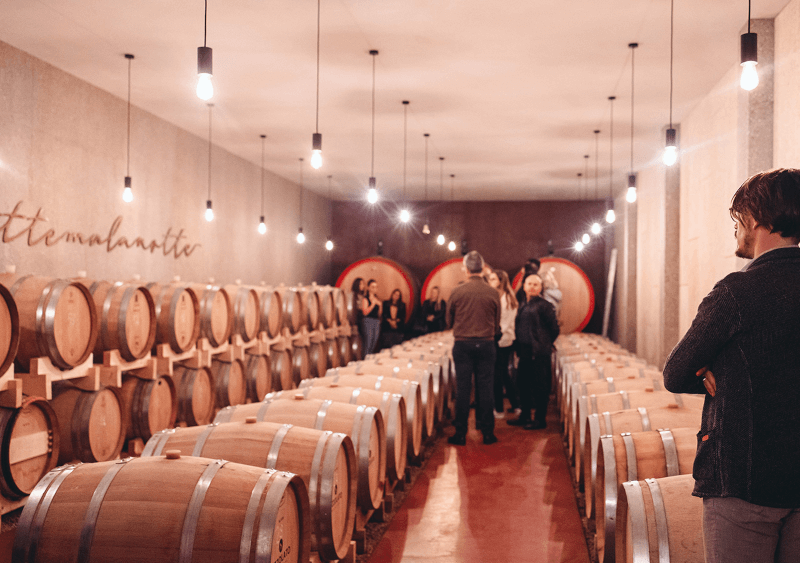 PIZZOLATO-WEINFAESSER