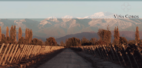 Viña Cobos