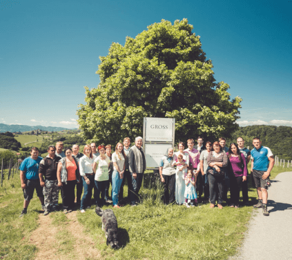 VingårdGrossTeam