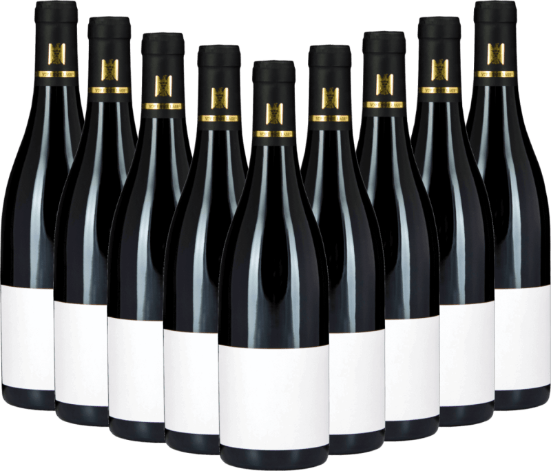 9x Vorteils-Weinpaket Fellbacher Trollinger SINE trocken - Aldinger