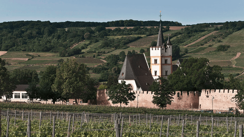 Weingut J Neus Landschaft Weingut J Neus Landschaft