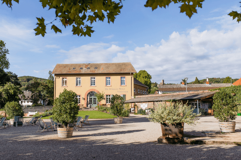 Weingut Dr Burklin Wolf Haus
