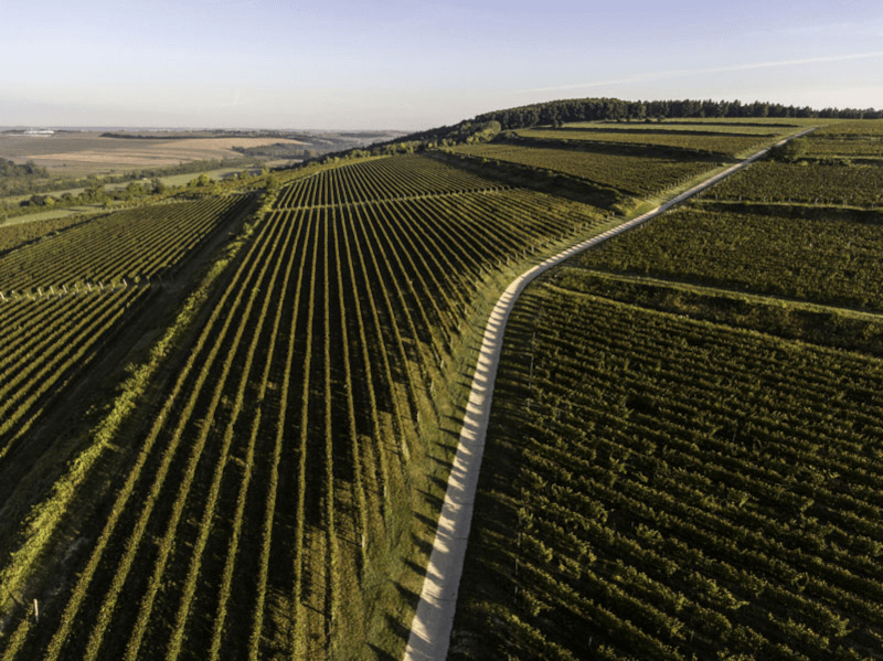 Tuzko terroir Tuzko terroir