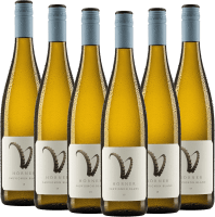 6er Vorteils-Weinpaket Steinbock Sauvignon Blanc - Weingut Hörner