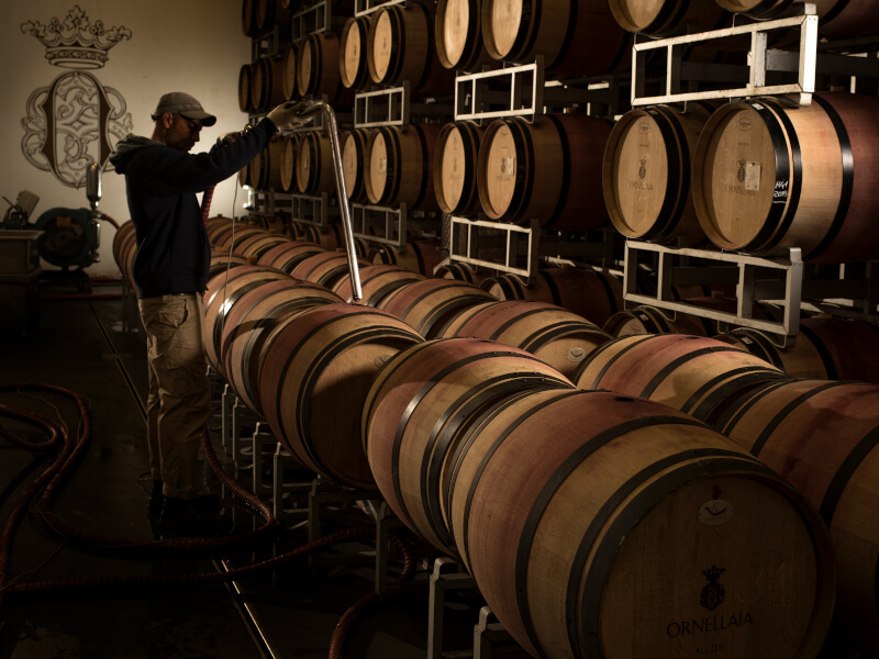 Fat Tenuta dell Ornellaia