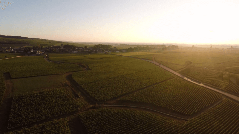 Utsikt over vingårdene i kommunen Volnay