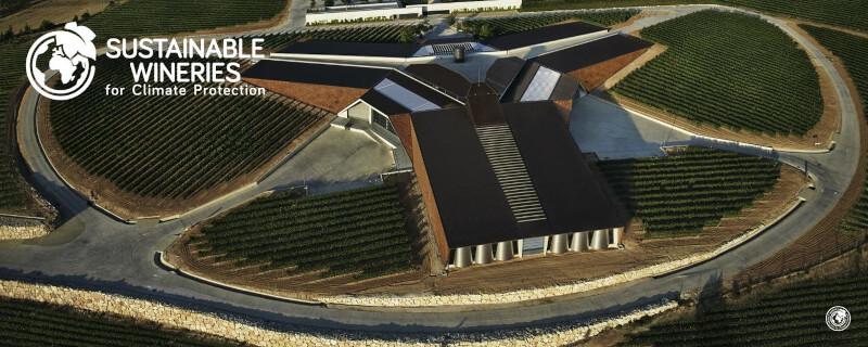 weingut-bodegas_portia-weinberg