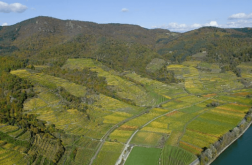 Die Lage Kaiserberg der Domäne Wachau Die Lage Kaiserberg der Domäne Wachau