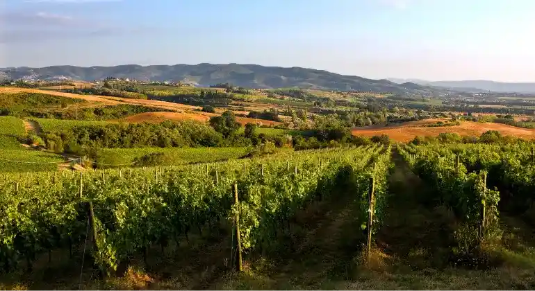 Nytelsesreise gjennom Umbria med Lungarotti – 6x introduksjonspakke