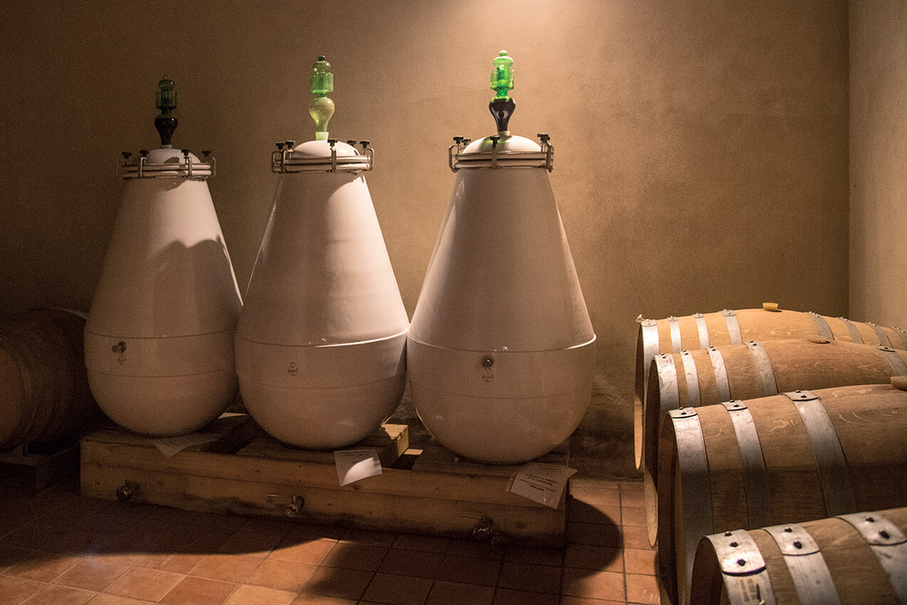 Amfora i vinkjelleren