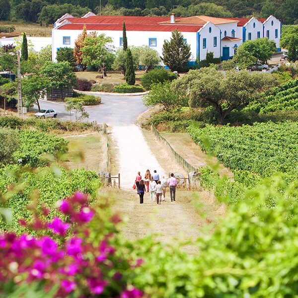 Monte da Ravasqueira herregård