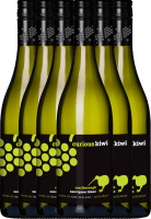 6er Vorteilspaket - Curious Kiwi Sauvignon Blanc - Marisco