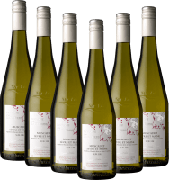 6er Vorteilspaket Muscadet Sur Lie Sèvre et Maine AOC - Domaine des Railleres