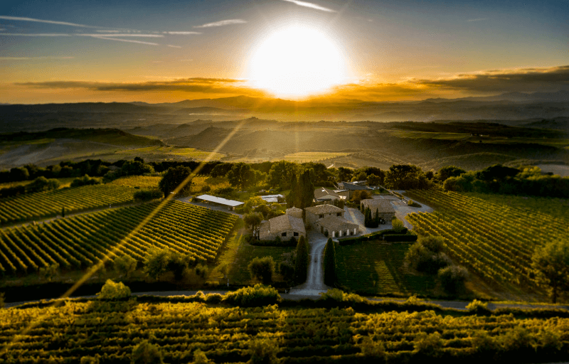 Ansicht des Weinguts Talenti