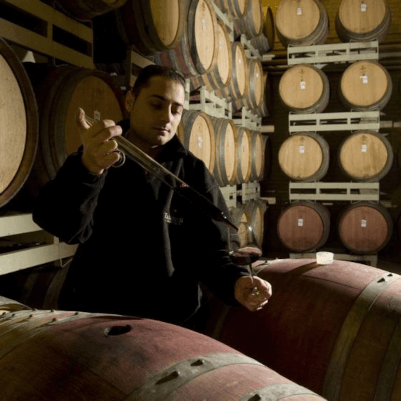 Talamonti arbeider i kjelleren