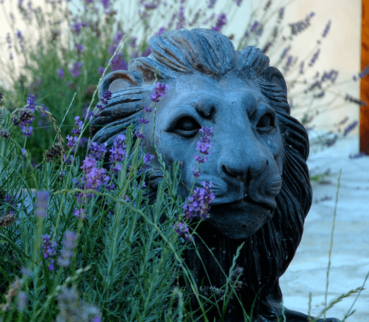 Tenuta Guado al Tasso Lion
