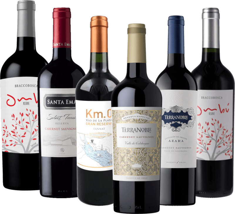 6x oppdagelsespakke - Reserva rødviner fra Sør-Amerika