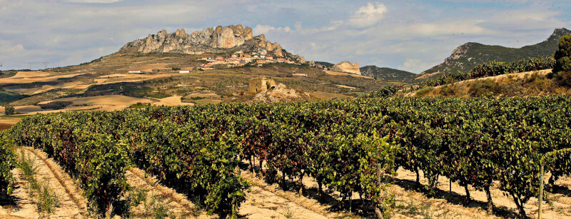 Vinmark Bodegas Taron Vinmark Bodegas Taron