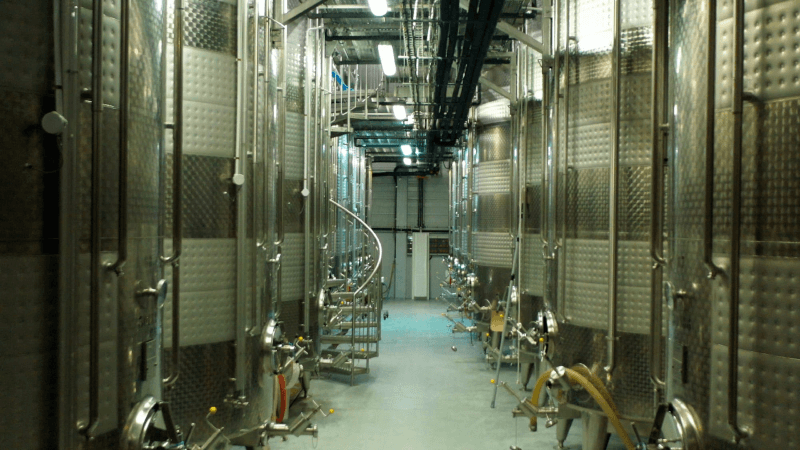 I kjelleren hos Veuve Duroy