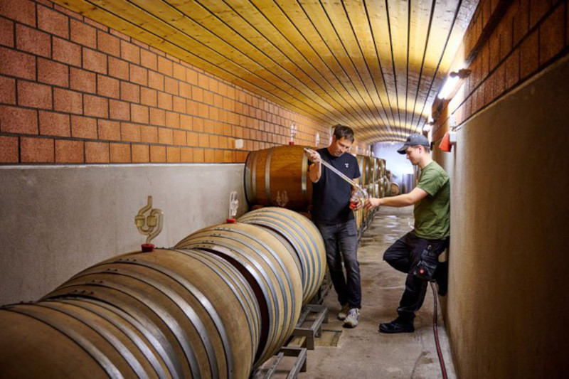 Weingut Manz Keller Fassprobe
