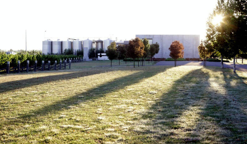 Mount Riley-vinstokker og vineri