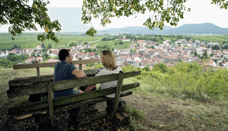 Blick über Ilbesheim