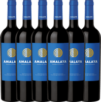 Vorschau: 6er Vorteils-Weinpaket - Amalaya Tinto - Bodega Colomé