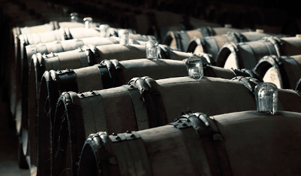 I vinkjelleren hos William Fevre