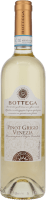 Pinot Grigio delle Venezia DOC - Bottega