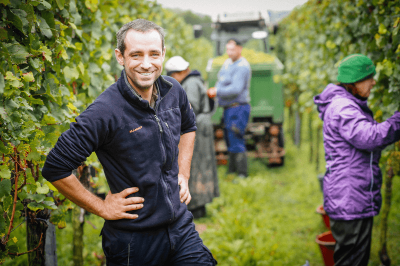 Frank Spiegel i vinmarken