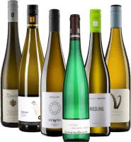 Riesling-reisen gjennom Tyskland – 6x druetyperekke