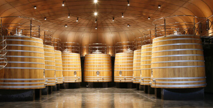 Gjæringskar i kjelleren hos Dinastia Vivanco Gjæringskar i kjelleren hos Dinastia Vivanco