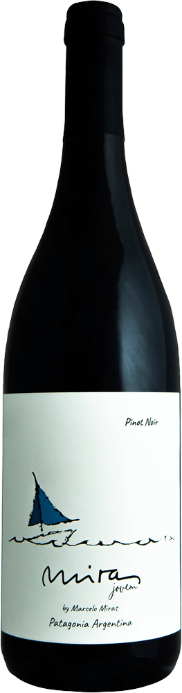 Vorschau: Skjulte vin-skatter fra Argentina fra VINELLO - 6-pakning for oppdagere