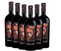 6x Fordelspakke Enigma Appassimento Sangiovese Rubicone - Biscardo