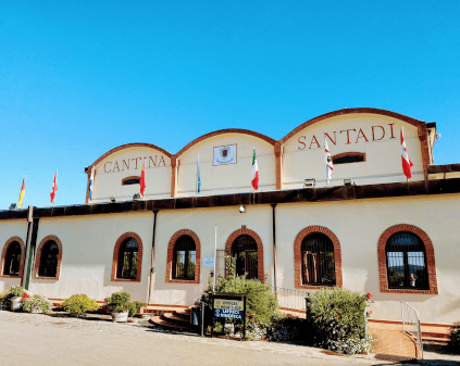 Cantina di Santadi vingård