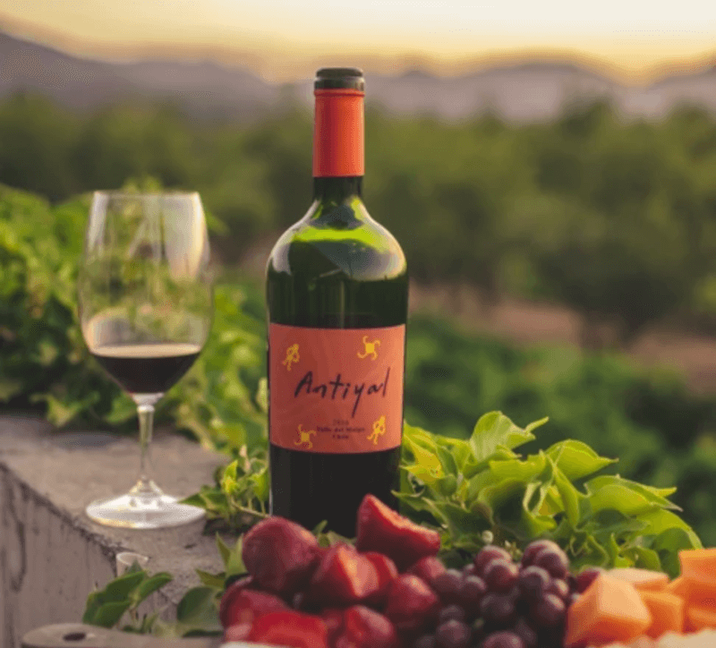 weingut-antiyal-weinberg-1