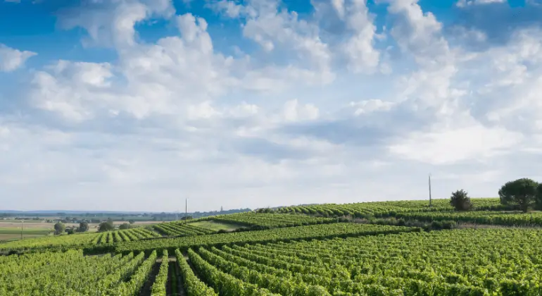 En sommerreise langs Loire – smakepakke 3x
