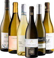 Musserende Pinot Grigio-hvitviner fra Italia - 6 x smaksprøvepakke
