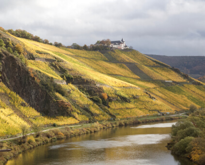 Vintage Clemens Busch