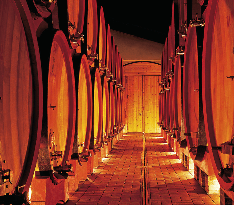 Tenuta di Sesta vinkjeller