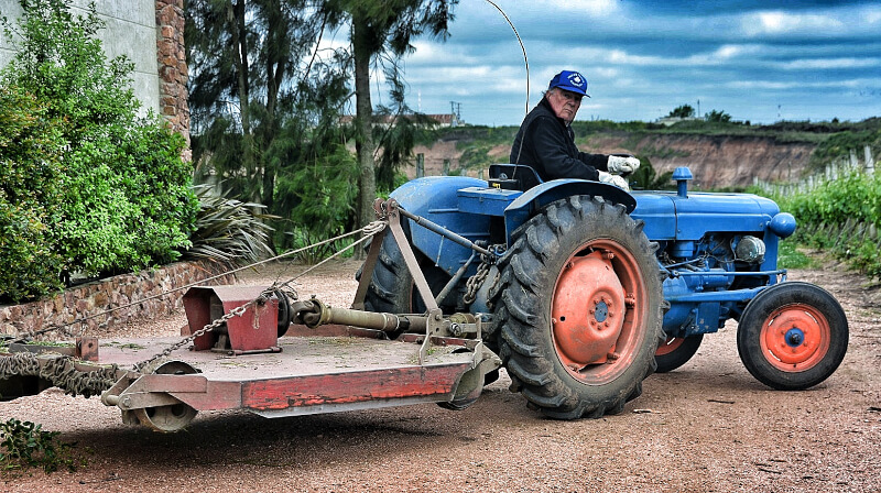 Antigua Bodega Uruguay Arbeit im Weinberg