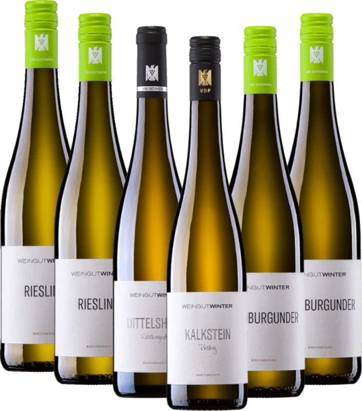 Bestseller fra vingården Winter – 6x bli kjent-pakkepakke