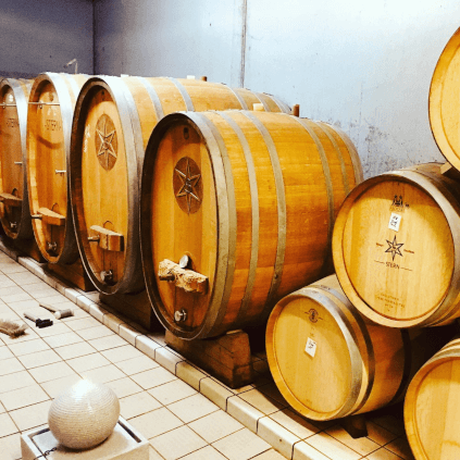 Vingård Stern Keller