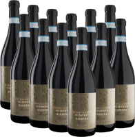 Vorschau: San Silvestro Appassimento Passito Piemonte Barbera DOC - Sartirano 12er Vorteilspaket
