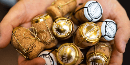 Rheingau-sekt fra vingården Barth Rheingau-sekt fra vingården Barth