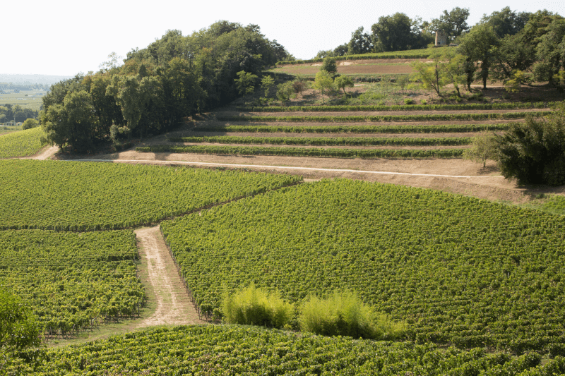 I Lalande de Pomerol ligger de enkelte vinmarkene på terrasser