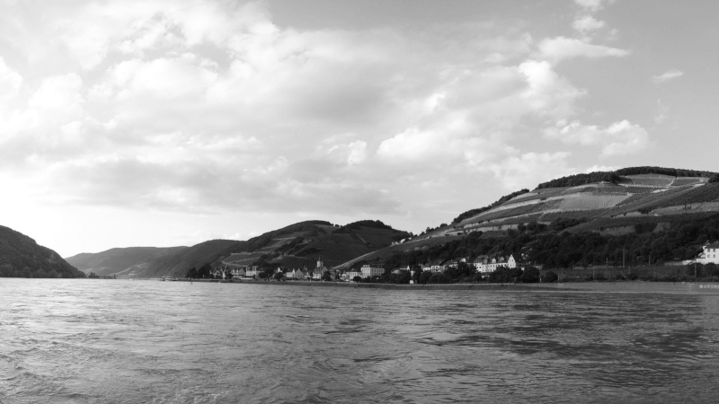 Weingut Allendorf im Rheingau