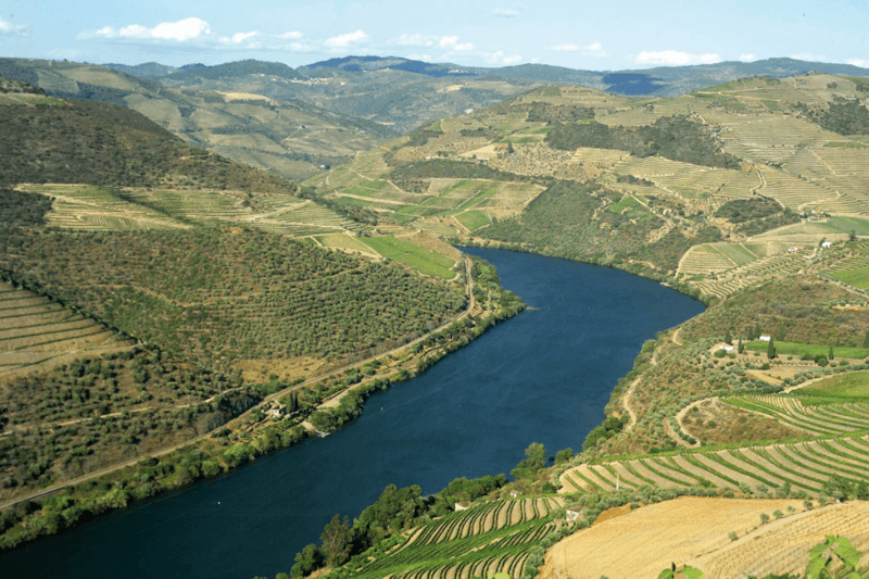 Utsikt over Douro fra vingården