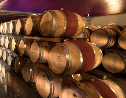 Kjeller i Casa Brancaia